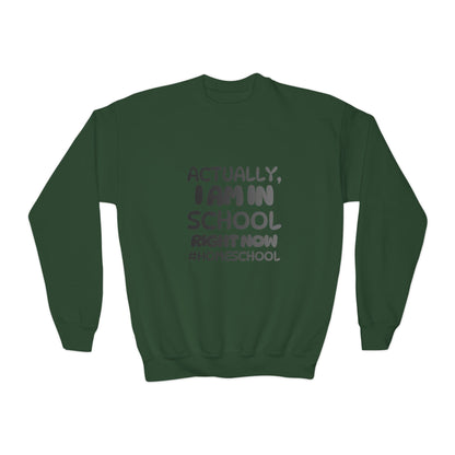 Actually I Am In School Right Now Homeschool Youth Sweatshirt  Funny Homeschooling Kid Shirt