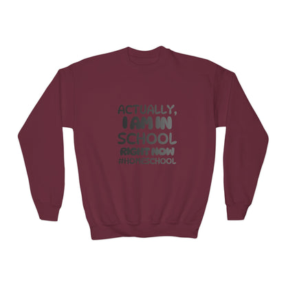 Actually I Am In School Right Now Homeschool Youth Sweatshirt  Funny Homeschooling Kid Shirt