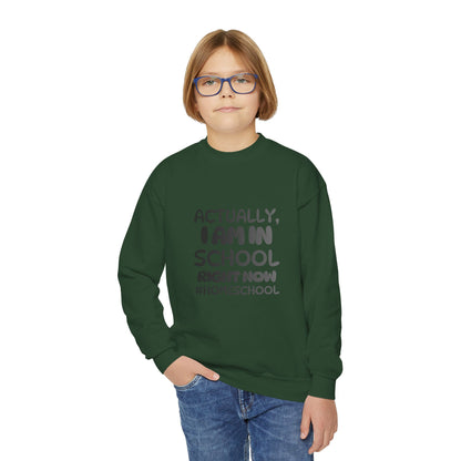 Actually I Am In School Right Now Homeschool Youth Sweatshirt  Funny Homeschooling Kid Shirt