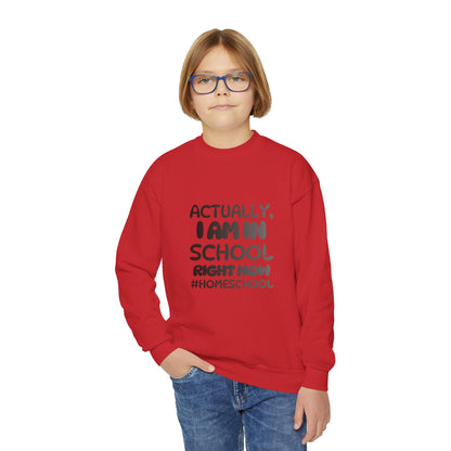 Actually I Am In School Right Now Homeschool Youth Sweatshirt  Funny Homeschooling Kid Shirt